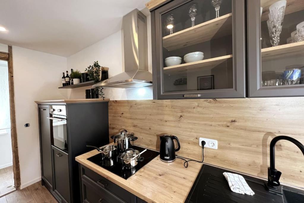 Ar Apartments III I 4 Pers I Modern I Schillerapartment Rudolstadt Esterno foto